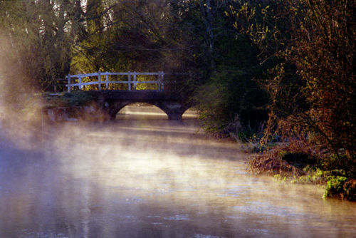 Early Morning Mist at Longbridge