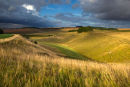 Summer Showers Middleton Hill