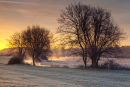 Winter Dawn Odstock