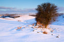 Winter Downland