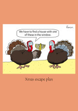 Xmas turkeys