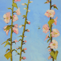 Hollyhocks