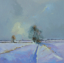 Winter Fields