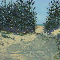 Holkham pines 6