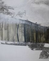 Echoes of Stoney Wood