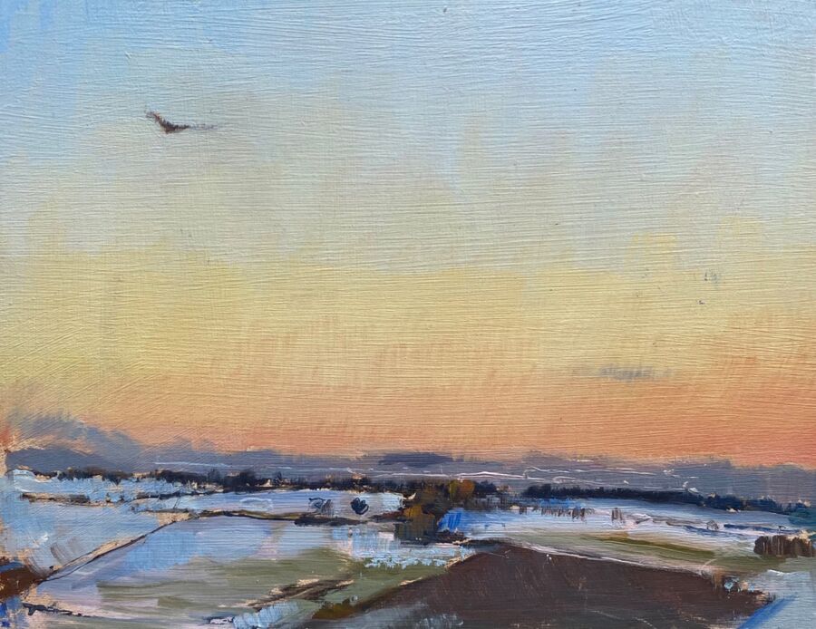 Winter Sky and Red Kite