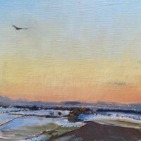 Winter Sky and Red Kite