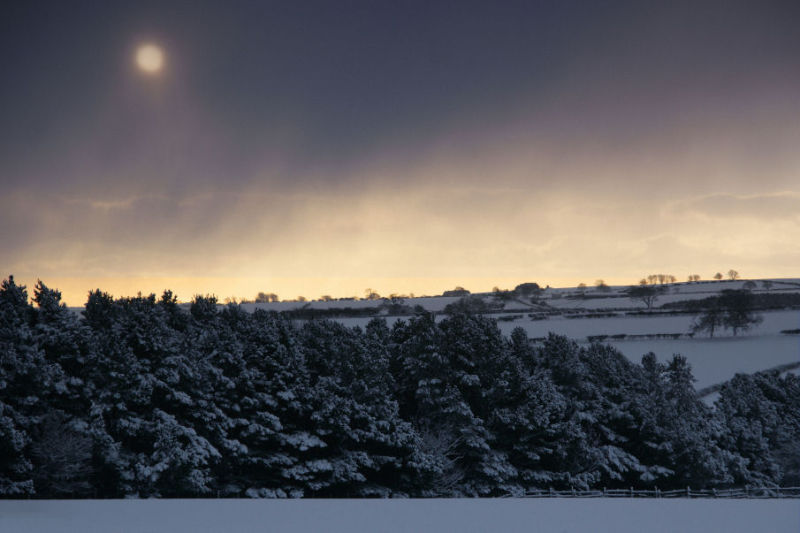 Sun through snow