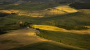 Evening Light Tuscany