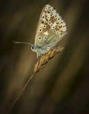 untitled shoot-039-Edit-2