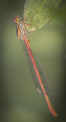 untitled shoot-051-Edit-Edit