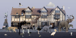 All The World's A Stage