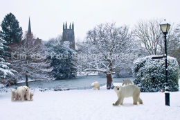 Just A Walk In The Park