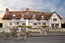 My Kingdom For A .......?