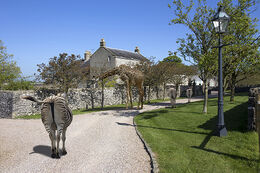 Not The Right Sort Of Visitor