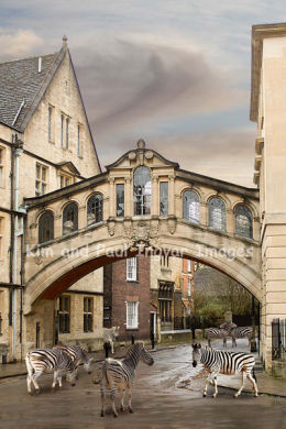 Over and Above the Common Herd