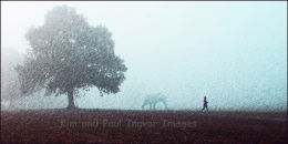 Put Your Worries Behind You