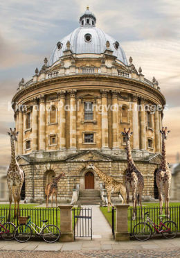 The Height of Learning