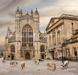 Waiting For The Cure