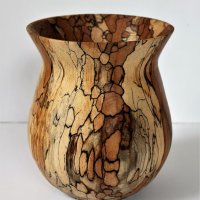 160827 Spalted Beech SOLD