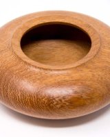 170912 Mango enclosed pot