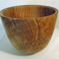 190326 Olive Ash