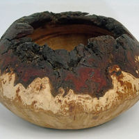 190608 Oak Burr