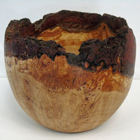 190706 Oak Burr