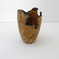 200110 Burr Oak Live Edge