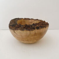 200117 Cornelian Cherry Natural Edge