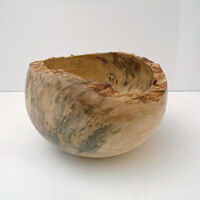 200127 Spalted Horse Chestnut Live Edge Bowl