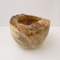 200128 Spalted Horse Chestnut Live Edge Sculptural Bowl