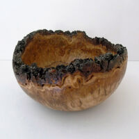 200205 Burr Oak Natural Edge