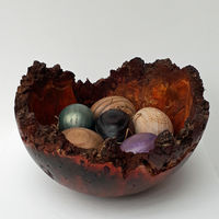 200215 Nest of Hope. Stained Burr Oak