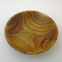 200302 Cotinus Small Dish