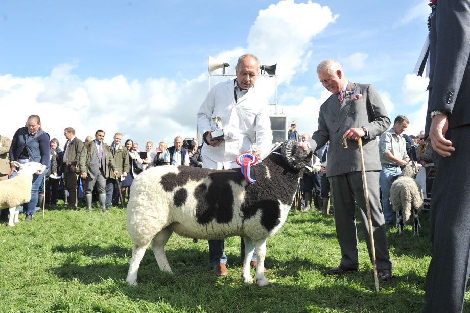 WESTMORLAND SHOW 2017 The Westmorland County Show - one of Britain's oldest and Cumbria's largest livestock and agricultural show, Pictured: (l-R) Clive Richardson from Swarthmoor, Ulverston wins the Upland sheep Champion with Jacob sheep, trophy presented by HRH Prince Charles at The Westmorland County Show ,Thursday 14th September 2017 LEANNE BOLGER