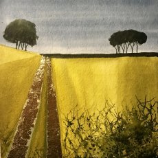 Across the Top Field SOLD