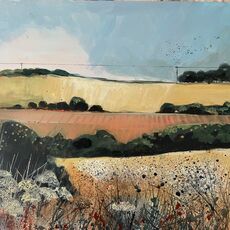 Ploughed Field and Crows