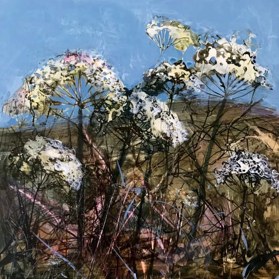 Seed Heads on Zennor Hill