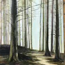 Dartmoor Pines