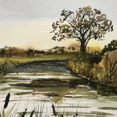 Autumn, Grand Western Canal