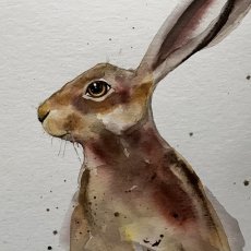 Hare
