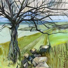 Gnarly Tree, Coastal Path SOLD