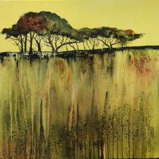 Edge of The Moor