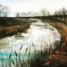 Winter Walk