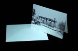 Southsea Shelter Blank Greeting Card