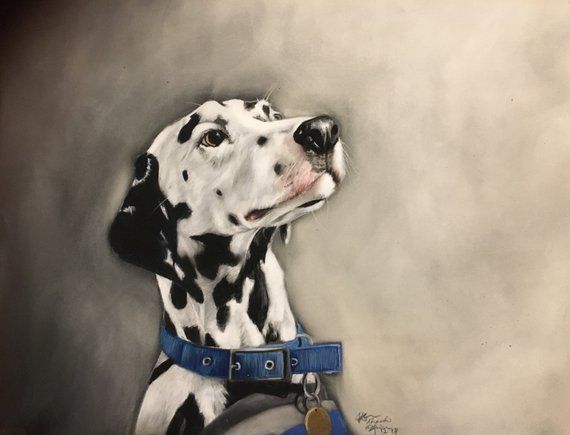 Digby the Dalmatian