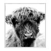 Kim Marsden Wildlife Photography