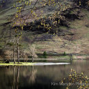 Buttermere trees at sunset landscape