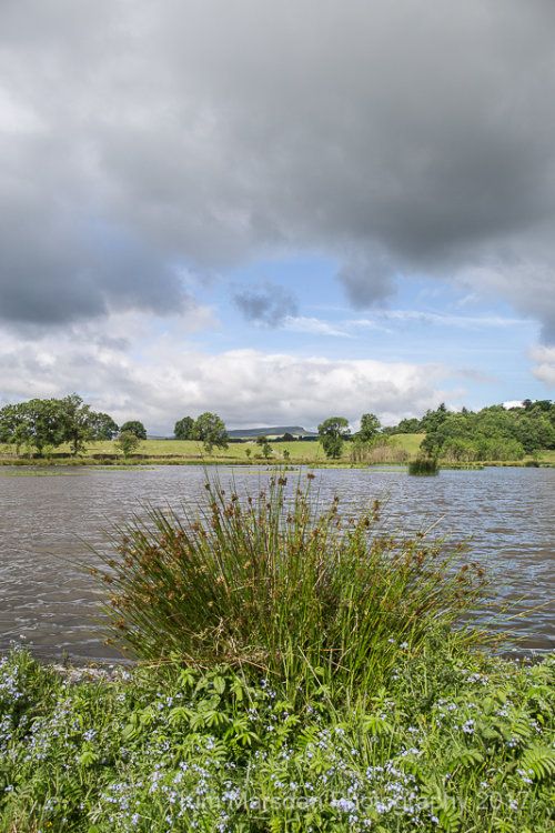 Pinkers Pond, Middleham